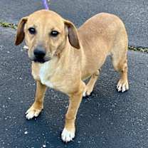 Thumbnail photo of Merry 2025 #1