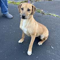 Thumbnail photo of Merry 2025 #2