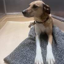 Thumbnail photo of Sasha #1