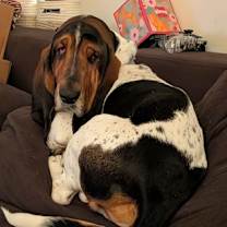 Thumbnail photo of Sam #1