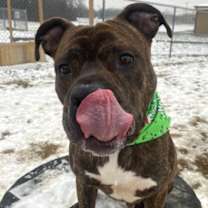 Thumbnail photo of Titan #2