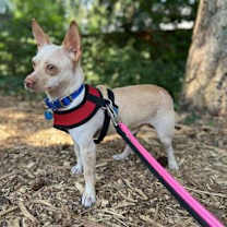 Thumbnail photo of JayJay #1