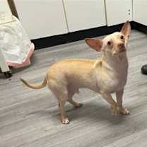 Thumbnail photo of JayJay #2