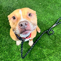 Thumbnail photo of Spice #1