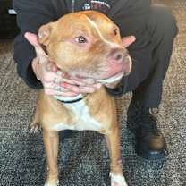 Thumbnail photo of Spice #2