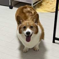 Thumbnail photo of Ari #1