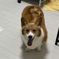 Thumbnail photo of Ari #2