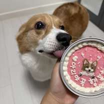 Thumbnail photo of Ari #3