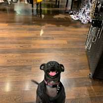 Thumbnail photo of Poe & Lala #4