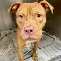 Thumbnail photo of Melanie #1