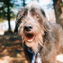 Thumbnail photo of Quiggle #2