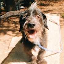 Thumbnail photo of Quiggle #3