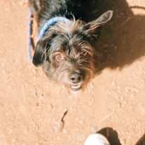 Thumbnail photo of Quiggle #4