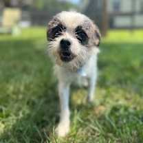 Thumbnail photo of Luna Nicole #4