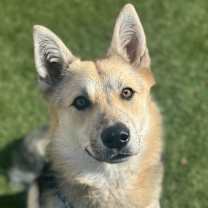 Thumbnail photo of Mia #1