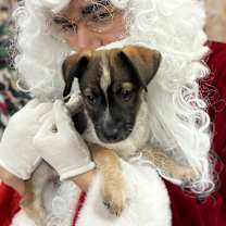 Thumbnail photo of Grant  #1