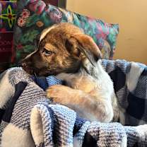 Thumbnail photo of Grant  #4