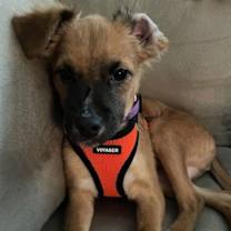 Thumbnail photo of Spooky C Moore #2