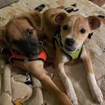 Thumbnail photo of Spooky C Moore #3