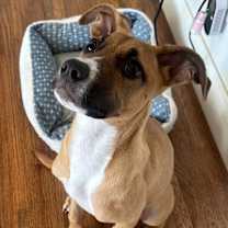 Thumbnail photo of Ellie #3