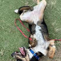 Thumbnail photo of Mia #2