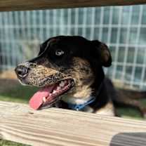 Thumbnail photo of Mia #3