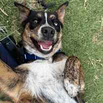 Thumbnail photo of Mia #4