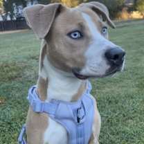 Thumbnail photo of Kia #2