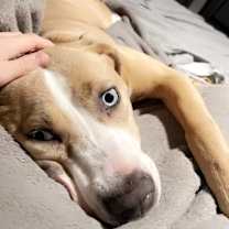 Thumbnail photo of Kia #3