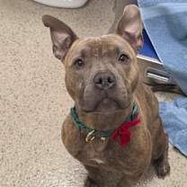 Thumbnail photo of McQueen #2