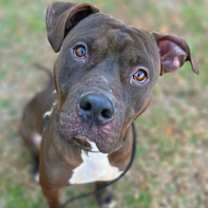 Thumbnail photo of Philly #1