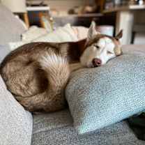 Thumbnail photo of Kai #3