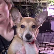 Thumbnail photo of Corbin #1