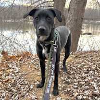 Thumbnail photo of Louise #1