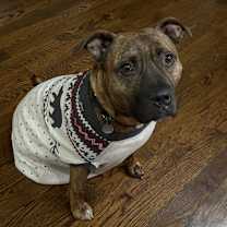 Thumbnail photo of Turkey #1