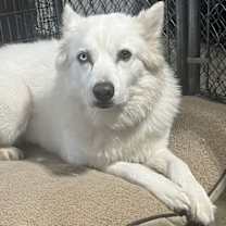 Thumbnail photo of MELLIE #1