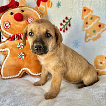 Thumbnail photo of April Gentry #1