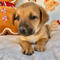 Thumbnail photo of April Gentry #2