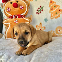 Thumbnail photo of April Gentry #3