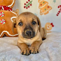 Thumbnail photo of April Gentry #4