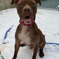 Thumbnail photo of Hermes #2