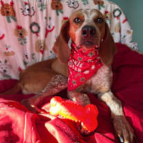 Thumbnail photo of Lillie #2