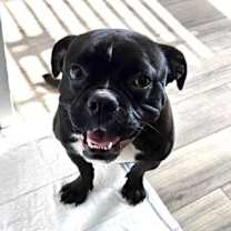 Thumbnail photo of Galileo #1