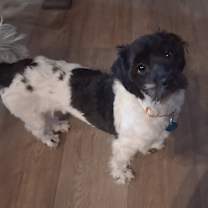 Thumbnail photo of Florance #2