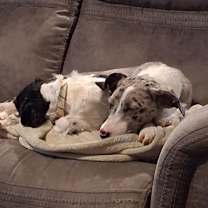 Thumbnail photo of Florance #3