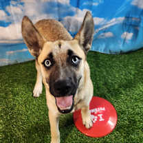 Thumbnail photo of Jill FJ #2