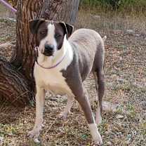 Thumbnail photo of Cruz SSP #1