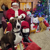 Thumbnail photo of Christine #1