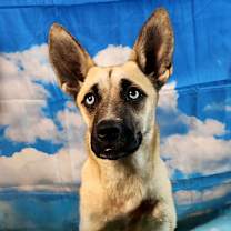 Thumbnail photo of Jill FJ #3