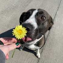 Thumbnail photo of Christine #3